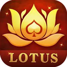 teen patti orchid customer care number download